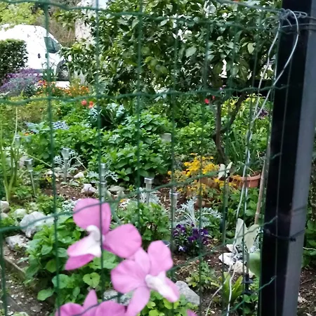 Apartmán 2 Bedroom With Terrace