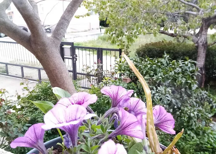 2 Bedroom With Terrace Appartement Biograd Na Moru