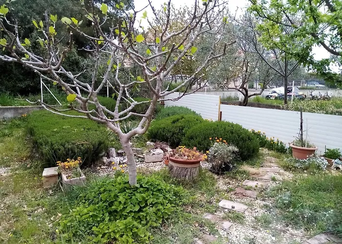 2 Bedroom With Terrace *