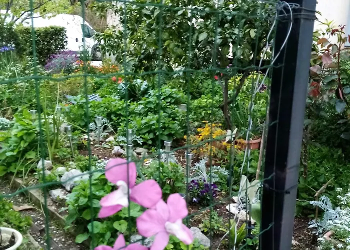 Апартаменты 2 Bedroom With Terrace